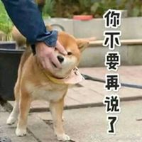 你不要再说了表情头像
