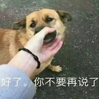 你不要再说了表情头像