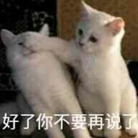 你不要再说了表情头像