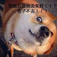 宿舍六人专用头像