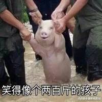 尴尬又不失礼貌的微笑表情头像