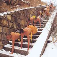 嵩山少林寺头像