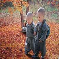 嵩山少林寺头像