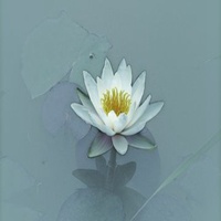 平安头像图片大全集