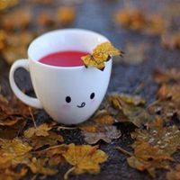 微信头像杯子图片大全