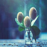 微信头像杯子图片大全