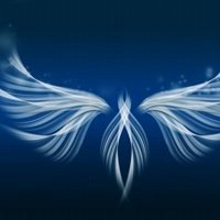 放飞梦想放飞自我头像