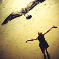 放飞梦想放飞自我头像