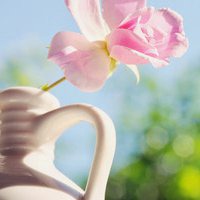 温馨头像唯美图片