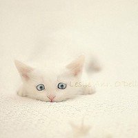 温馨头像唯美图片