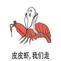 皮皮虾我们走头像图片大全