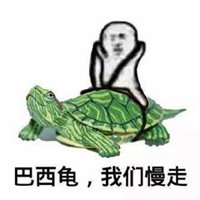 皮皮虾我们走头像图片大全