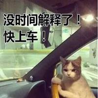 老司机带带我表情头像