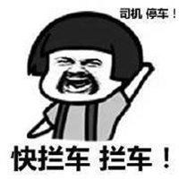 老司机带带我表情头像