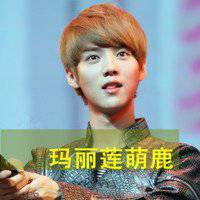 EXO组合头像高清图片大全_名人EXO组合真实头像大图下载