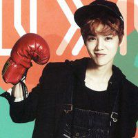 EXO组合头像高清图片大全_名人EXO组合真实头像大图下载