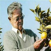 褚时健头像高清图片大全_名人褚时健真实头像大图下载