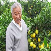 褚时健头像高清图片大全_名人褚时健真实头像大图下载