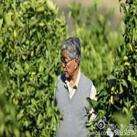 褚时健头像高清图片大全_名人褚时健真实头像大图下载