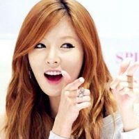 倪金泫雅头像高清图片大全_名人倪金泫雅真人头像大图下载