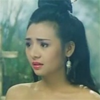 叶子楣头像高清图片大全_名人叶子楣真人头像大图下载