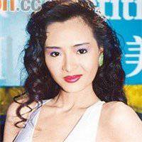 叶子楣头像高清图片大全_名人叶子楣真人头像大图下载