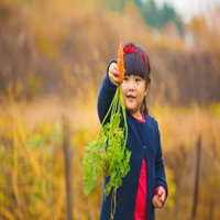 王诗龄头像高清图片大全_名人王诗龄真人头像大图下载