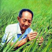 袁隆平头像高清图片大全_杂交水稻袁隆平真人头像大图下载