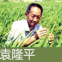 袁隆平头像高清图片大全_杂交水稻袁隆平真人头像大图下载