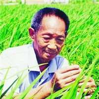 袁隆平头像高清图片大全_杂交水稻袁隆平真人头像大图下载