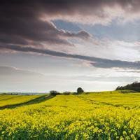 乡村淳朴风景头像