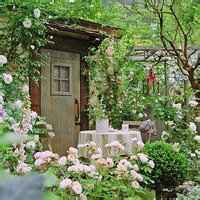 乡村淳朴风景头像