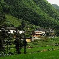 乡村淳朴风景头像