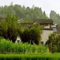 乡村淳朴风景头像