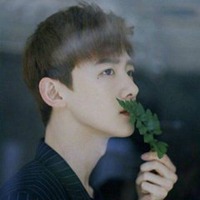 唯美手拿树叶头像