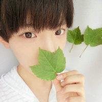 唯美手拿树叶头像
