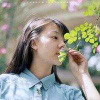 唯美手拿树叶头像