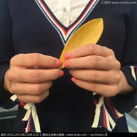 唯美手拿树叶头像