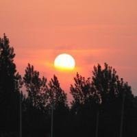 唯美日出太阳头像图片