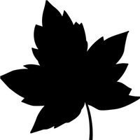 唯美枫叶头像图片大全 唯美红色枫叶成片头像