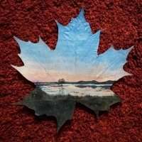 唯美枫叶头像图片大全 唯美红色枫叶成片头像