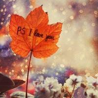 唯美枫叶头像图片大全 唯美红色枫叶成片头像