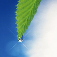 唯美绿色叶子头像