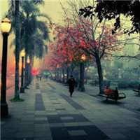 唯美街景图片头像