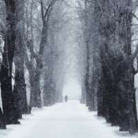 唯美远景男生头像