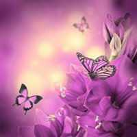 唯美鲜花蝴蝶飞舞头像