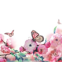 唯美鲜花蝴蝶飞舞头像