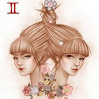 微信头像双子座专属图片