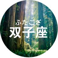 微信头像双子座专属图片