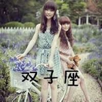 微信头像双子座专属图片